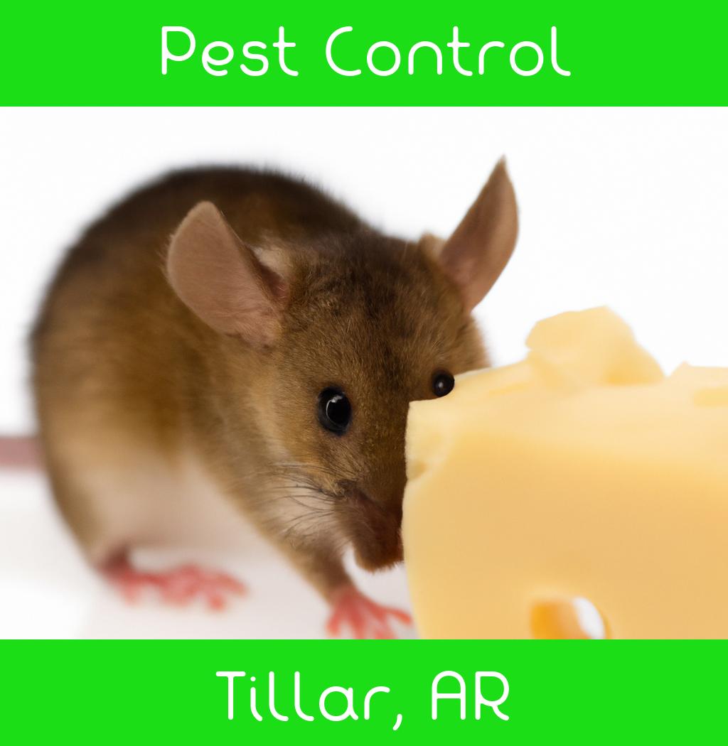 pest control in Tillar Arkansas