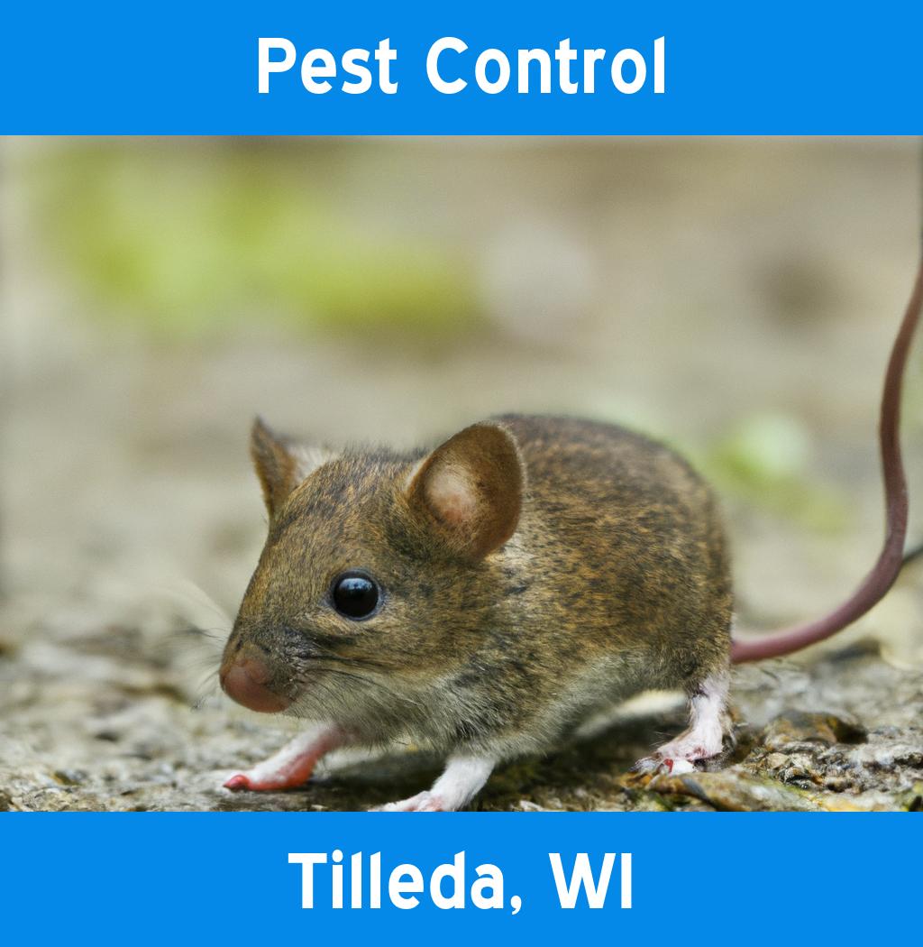 pest control in Tilleda Wisconsin
