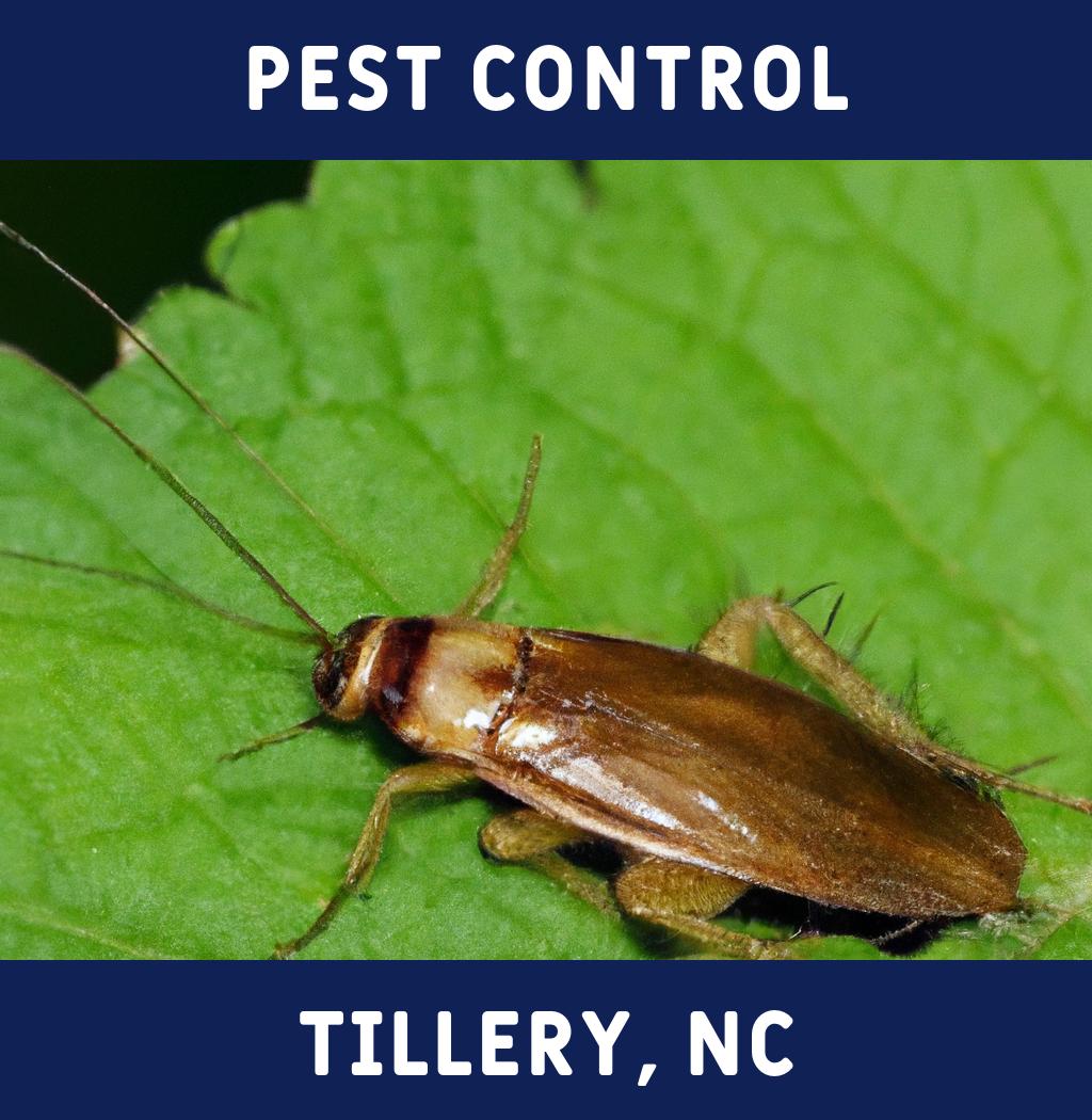 pest control in Tillery North Carolina