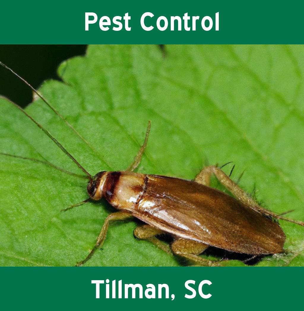 pest control in Tillman South Carolina