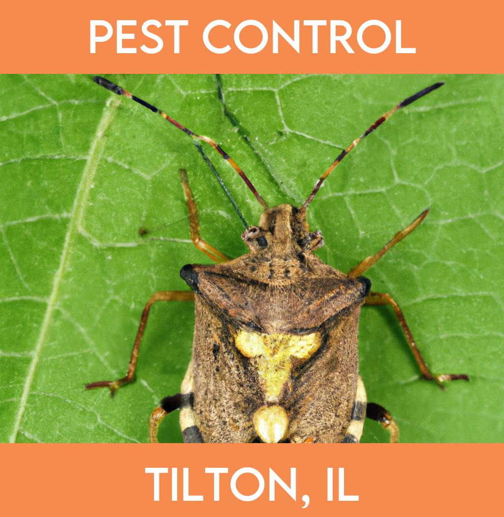 pest control in Tilton Illinois