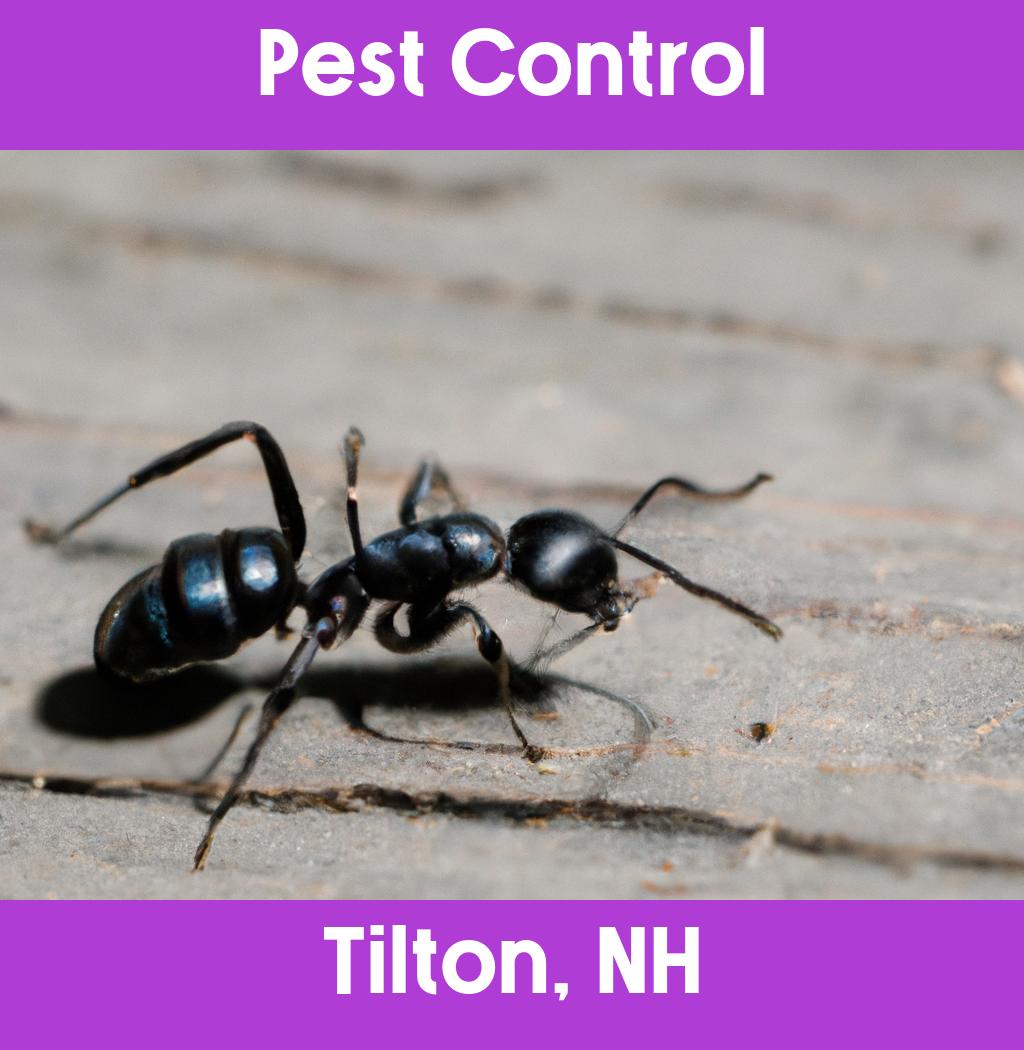 pest control in Tilton New Hampshire