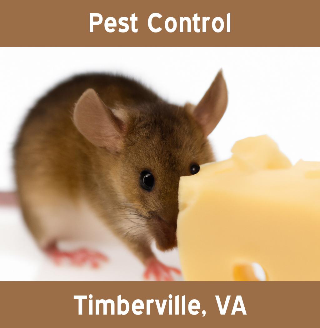 pest control in Timberville Virginia