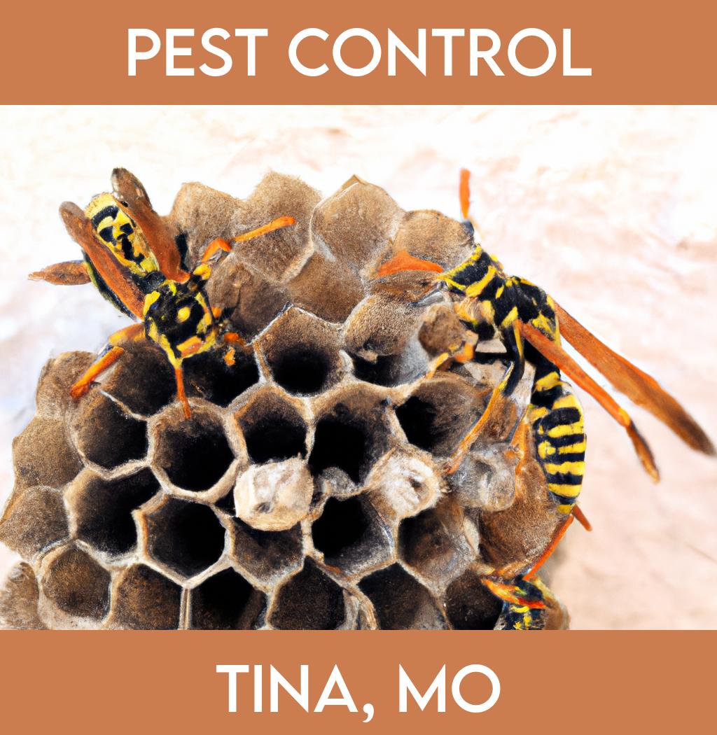 pest control in Tina Missouri