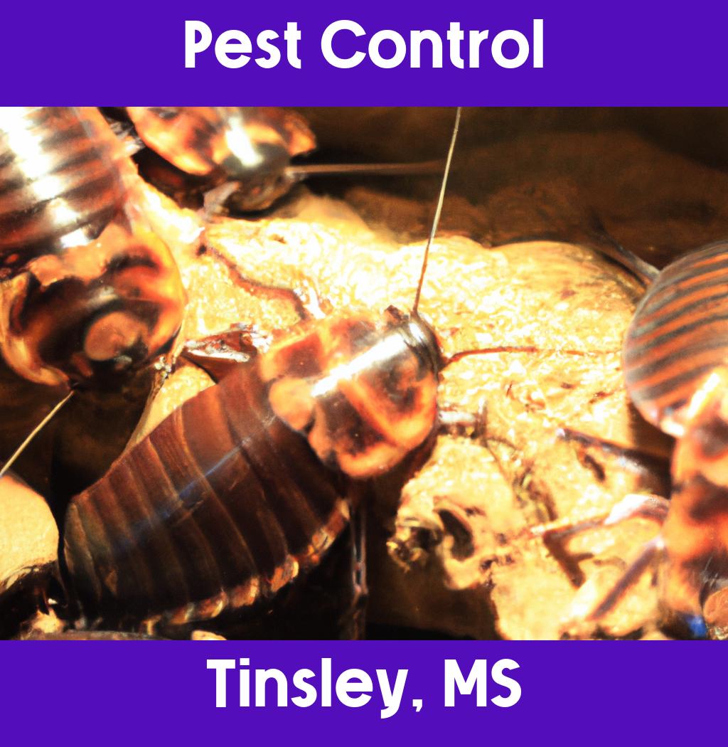 pest control in Tinsley Mississippi