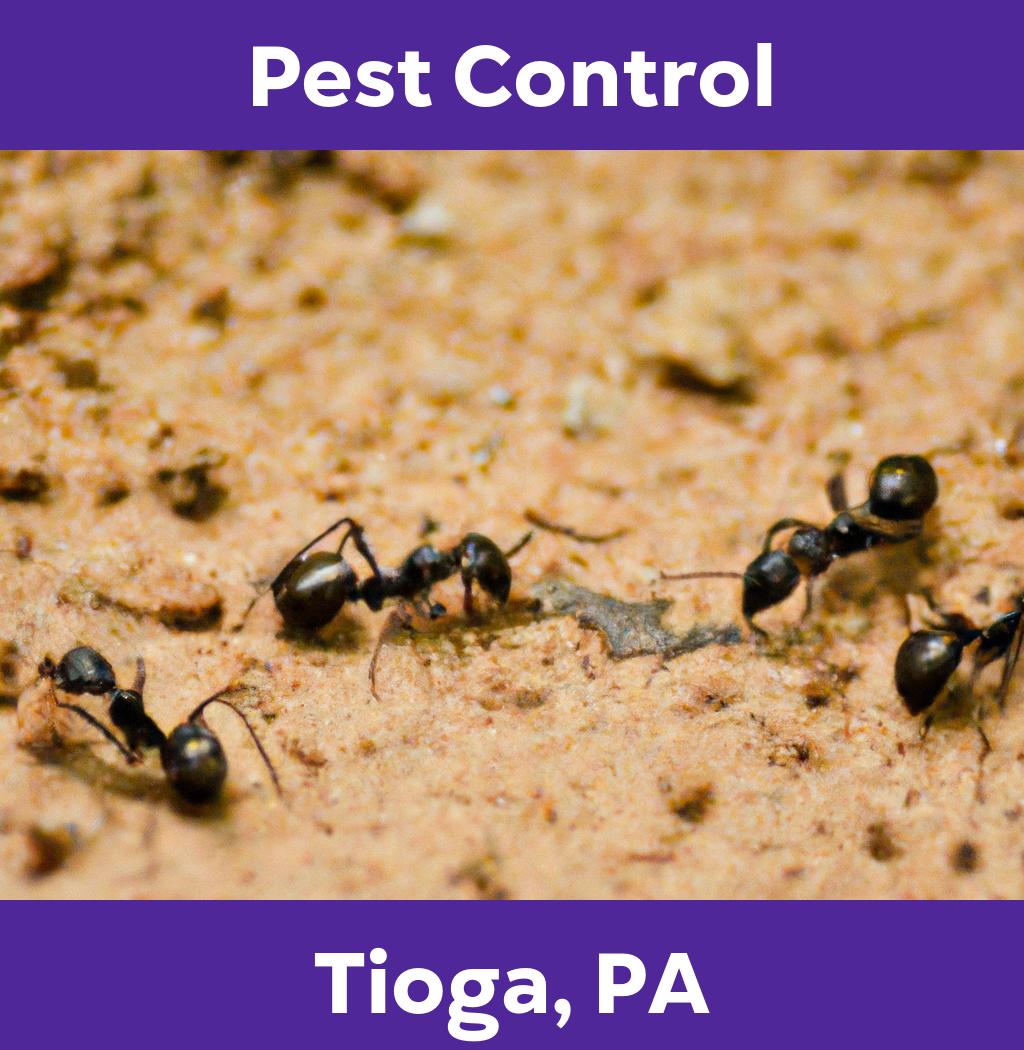 pest control in Tioga Pennsylvania