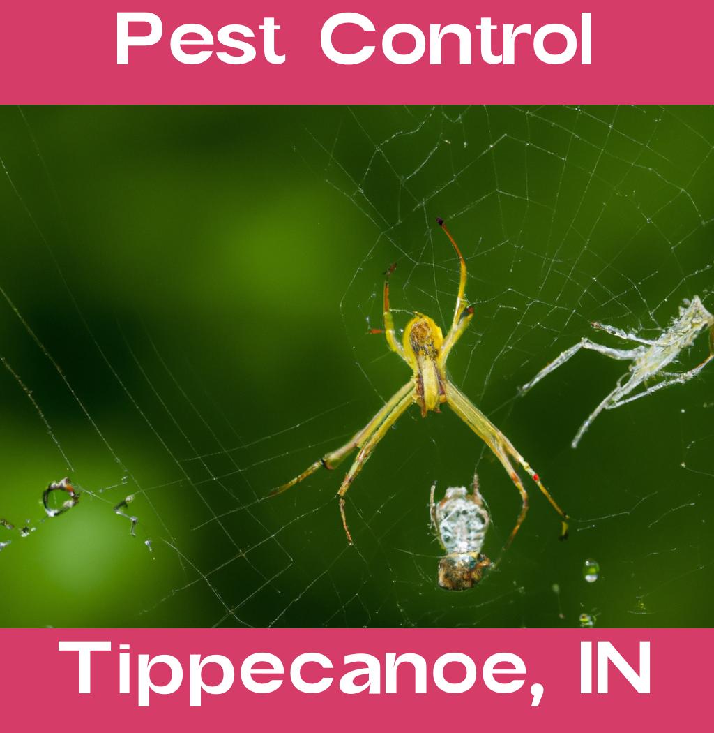 pest control in Tippecanoe Indiana