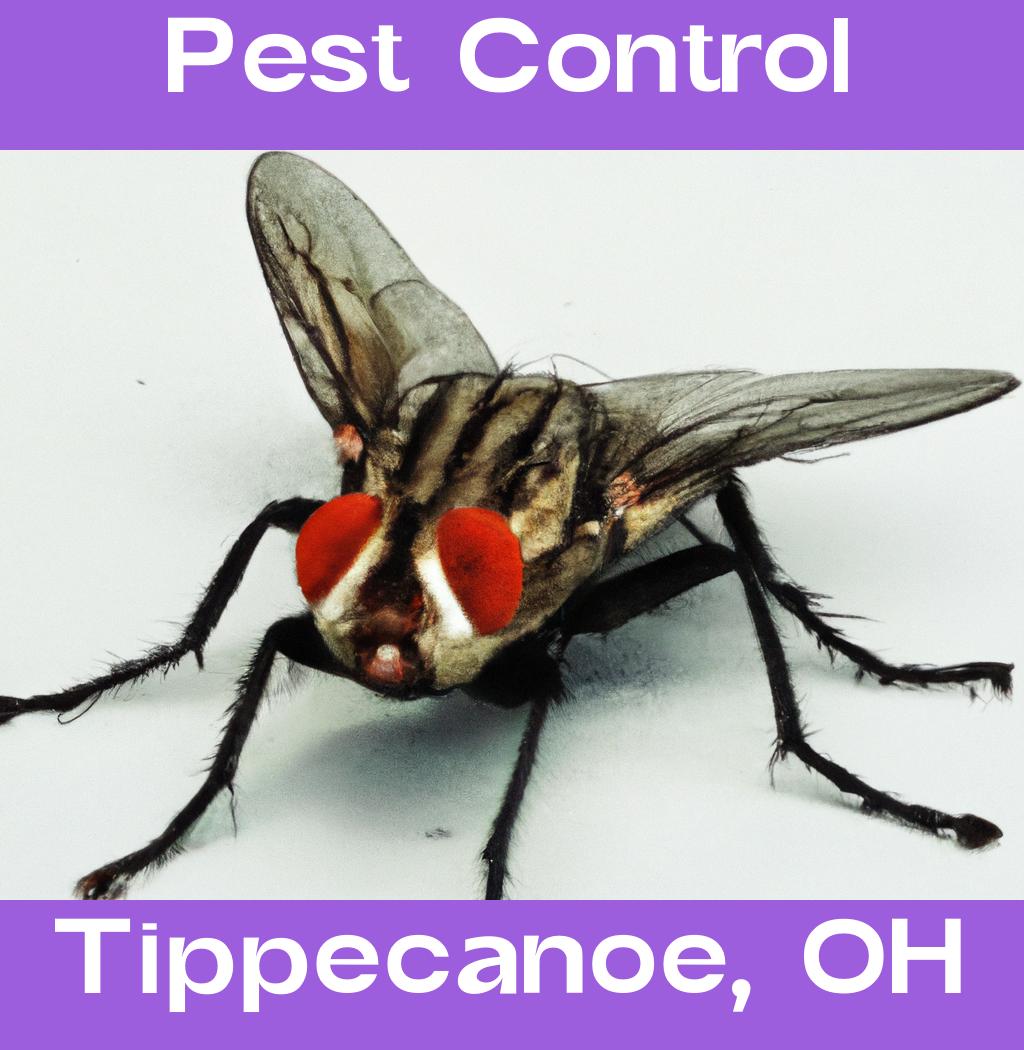 pest control in Tippecanoe Ohio