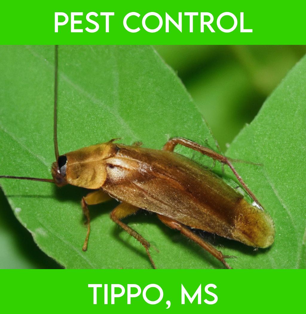 pest control in Tippo Mississippi