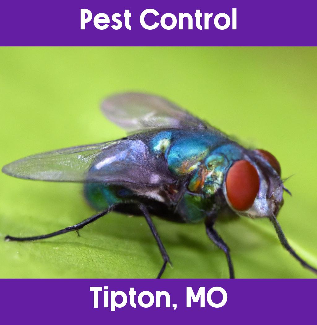 pest control in Tipton Missouri