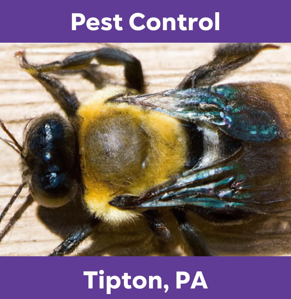 pest control in Tipton Pennsylvania