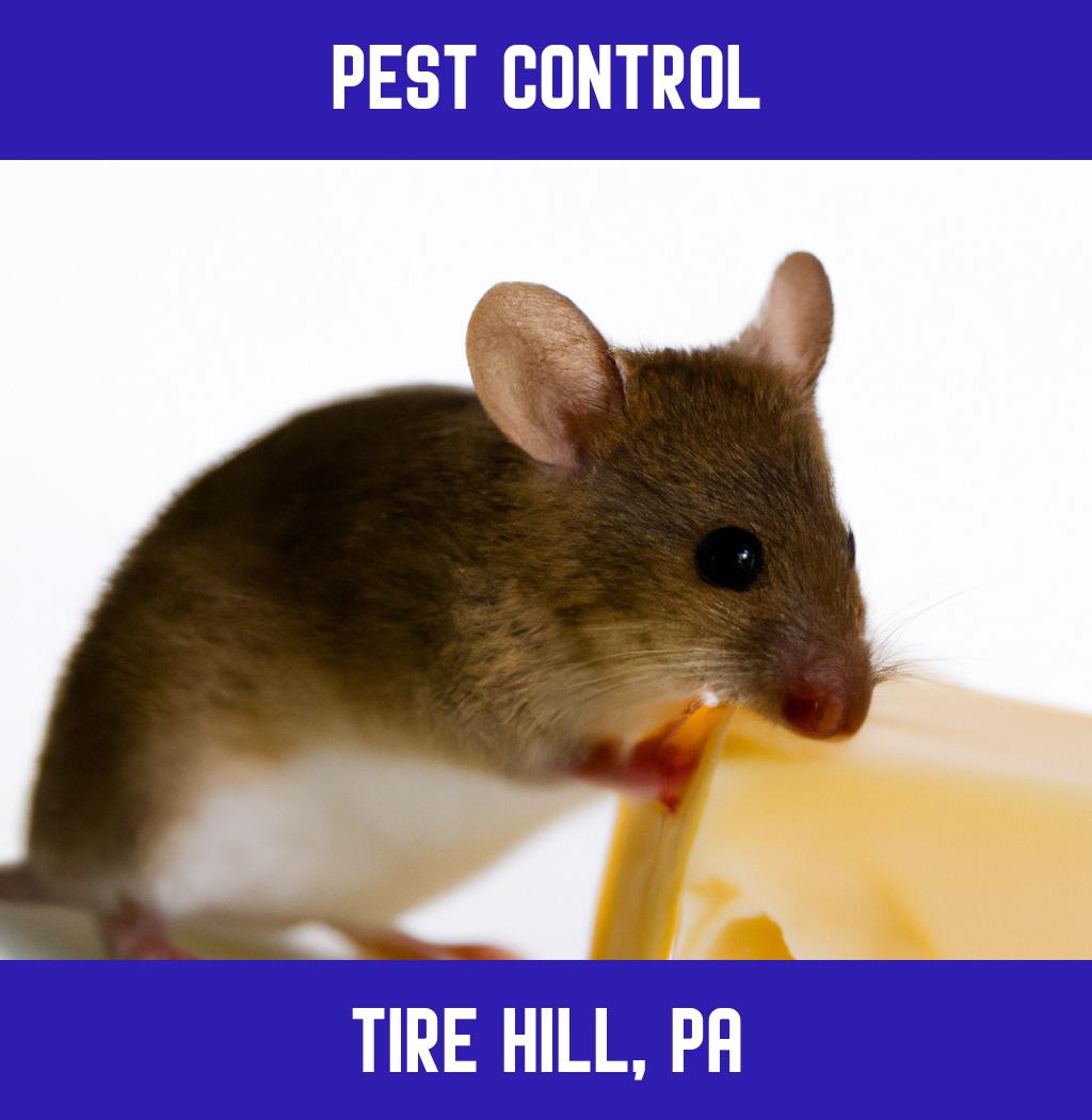 pest control in Tire Hill Pennsylvania