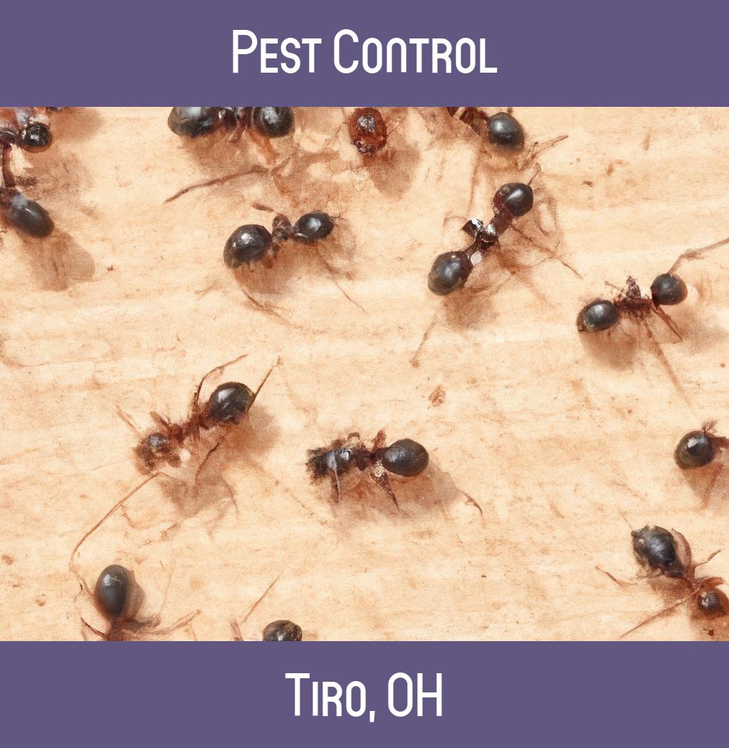 pest control in Tiro Ohio