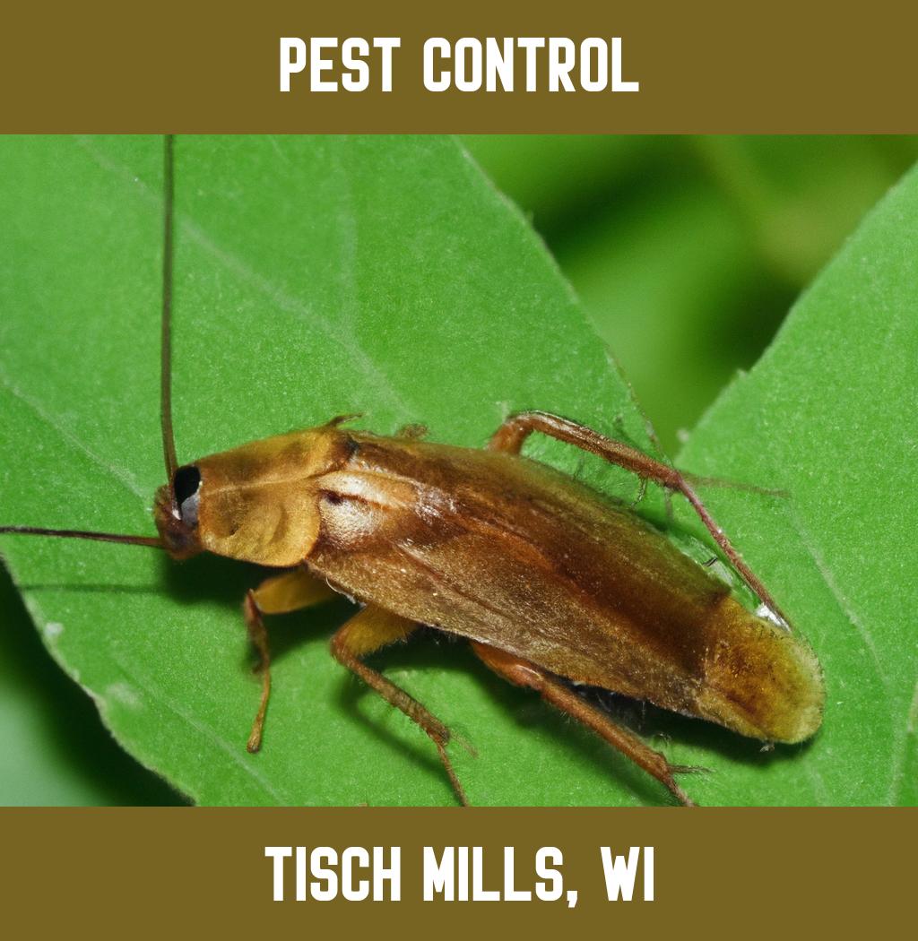 pest control in Tisch Mills Wisconsin