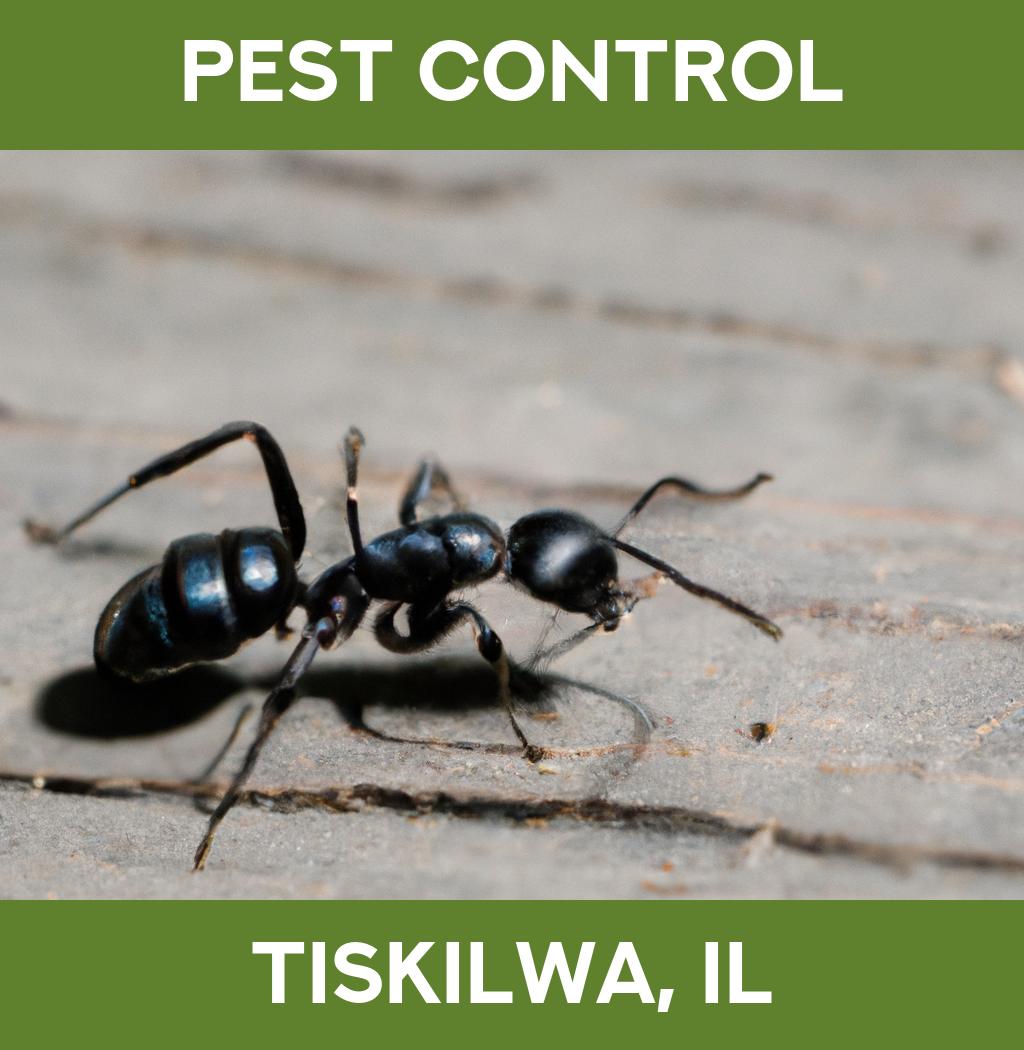 pest control in Tiskilwa Illinois