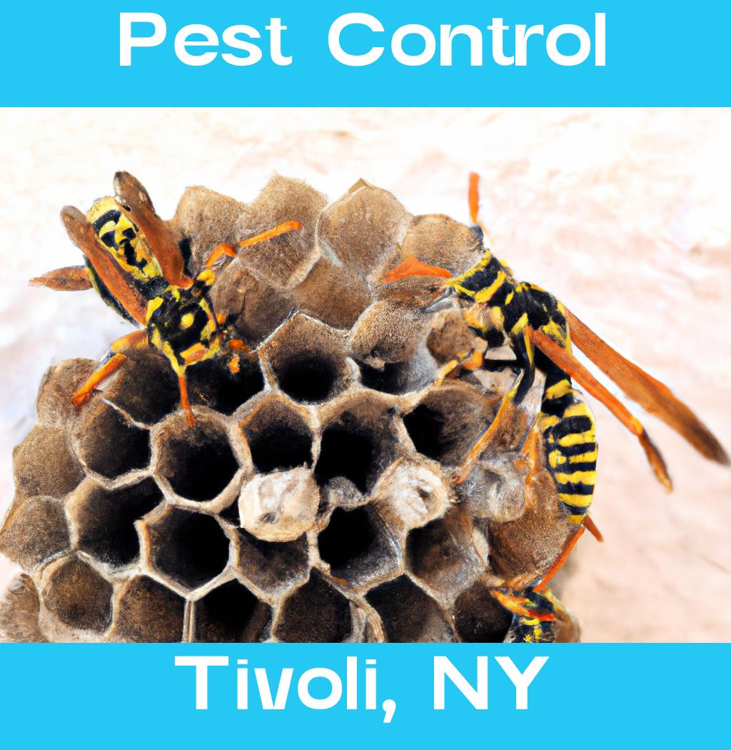 pest control in Tivoli New York
