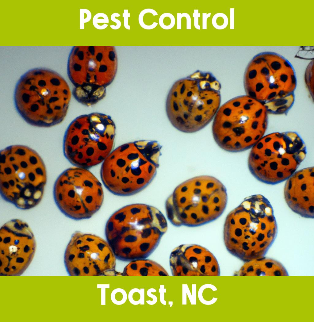 pest control in Toast North Carolina
