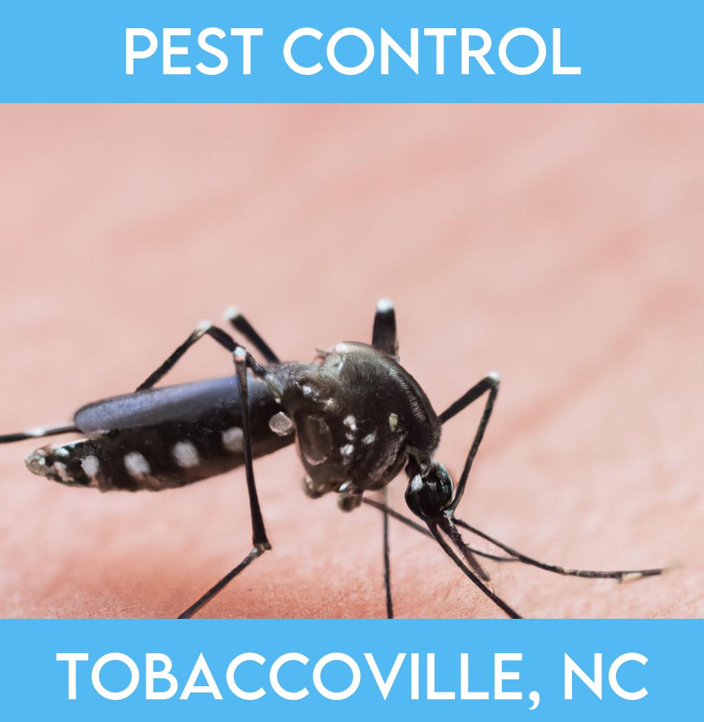 pest control in Tobaccoville North Carolina