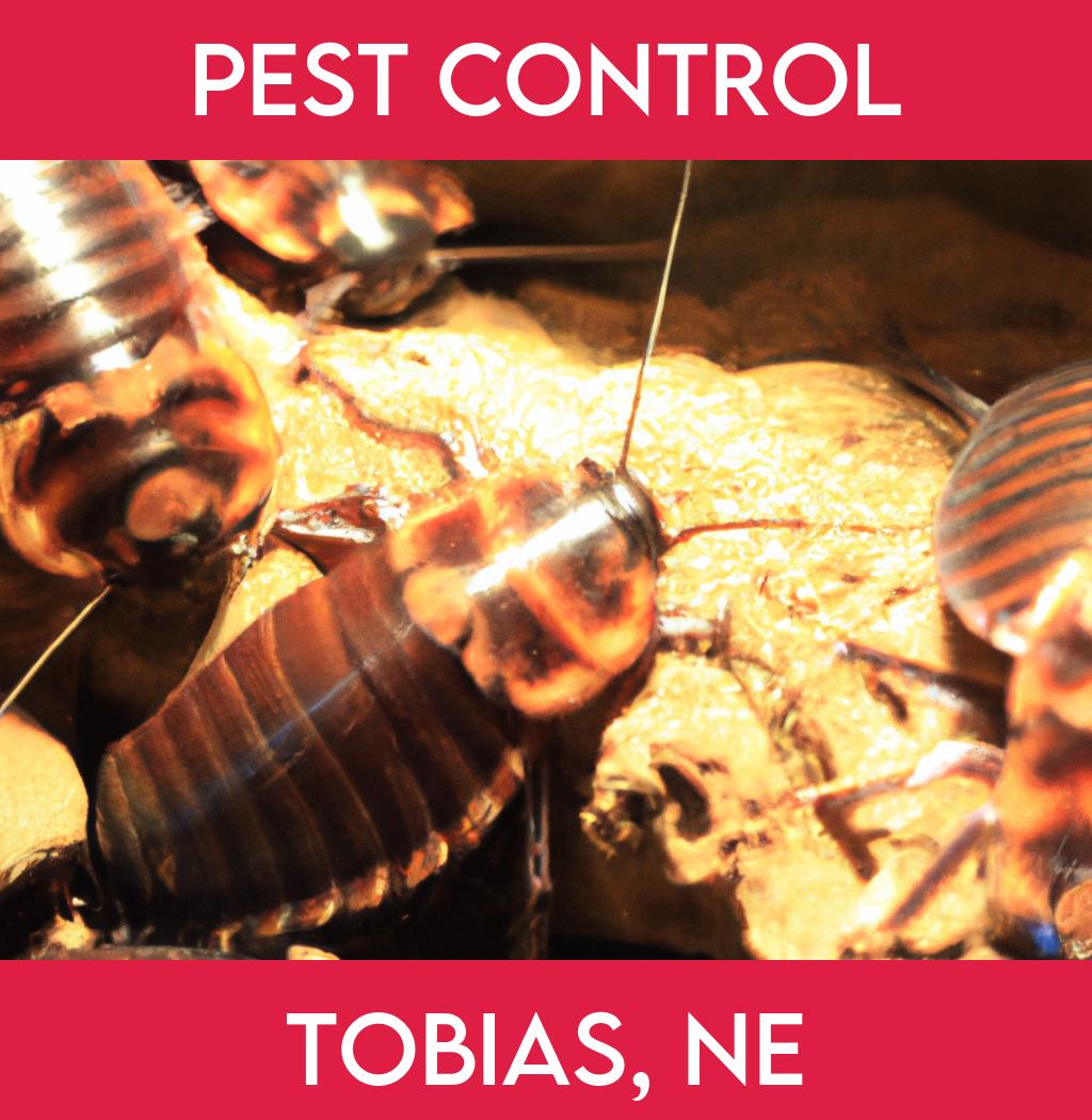 pest control in Tobias Nebraska