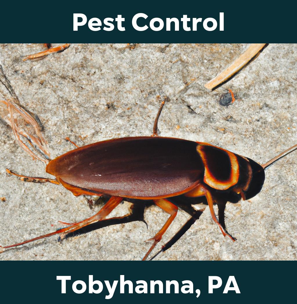 pest control in Tobyhanna Pennsylvania