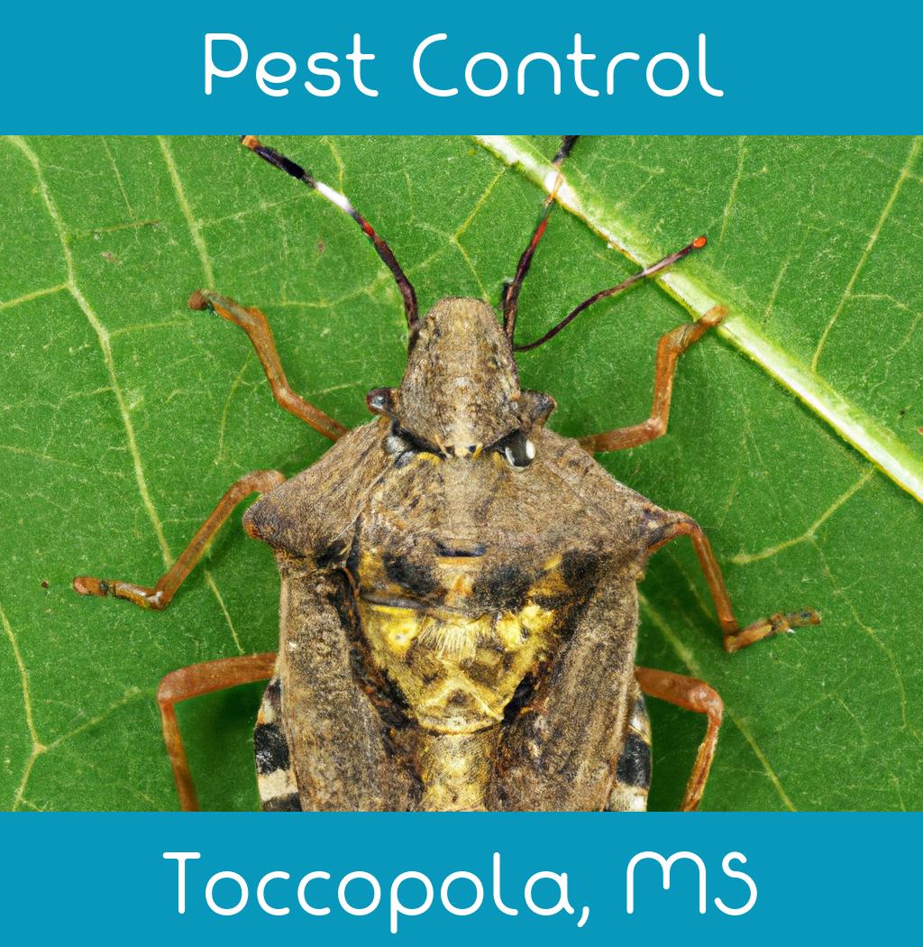 pest control in Toccopola Mississippi