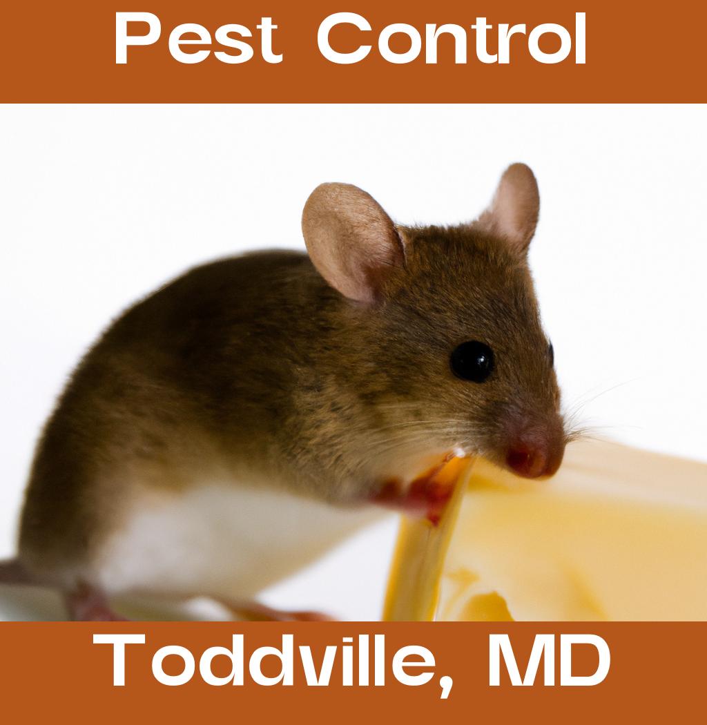 pest control in Toddville Maryland