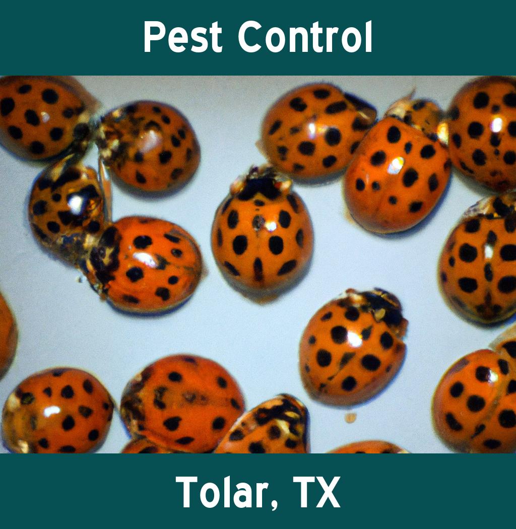pest control in Tolar Texas