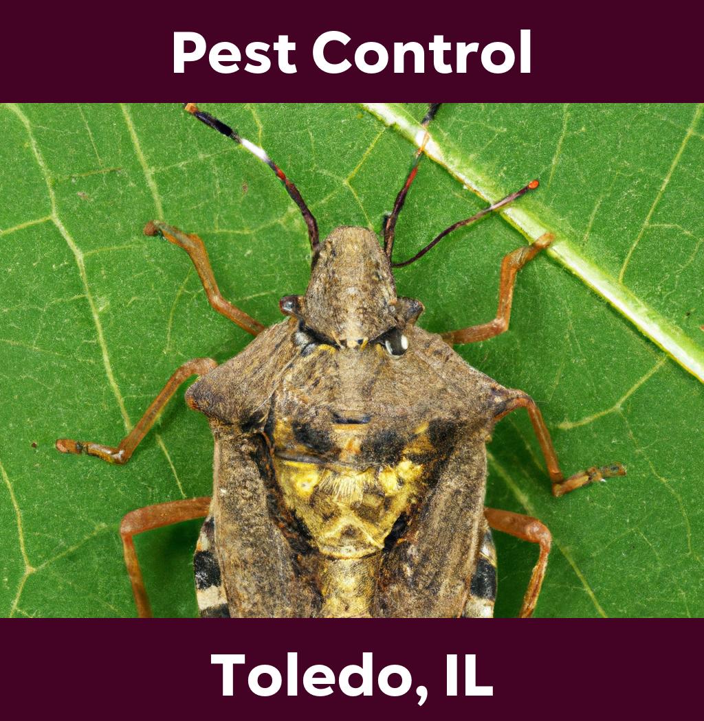 pest control in Toledo Illinois