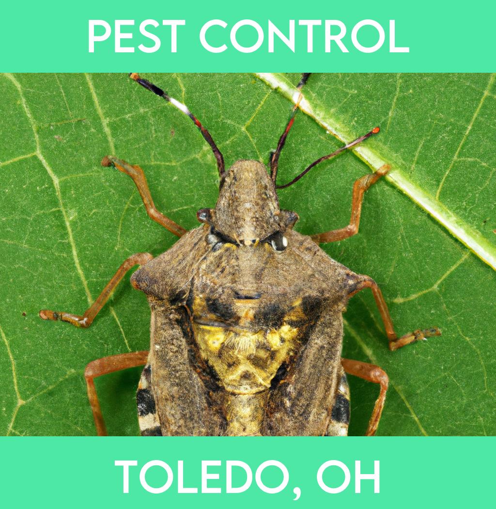 pest control in Toledo Ohio