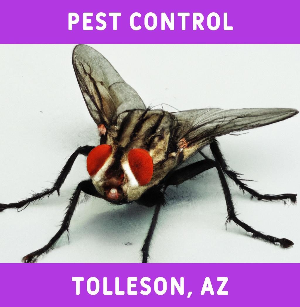 pest control in Tolleson Arizona