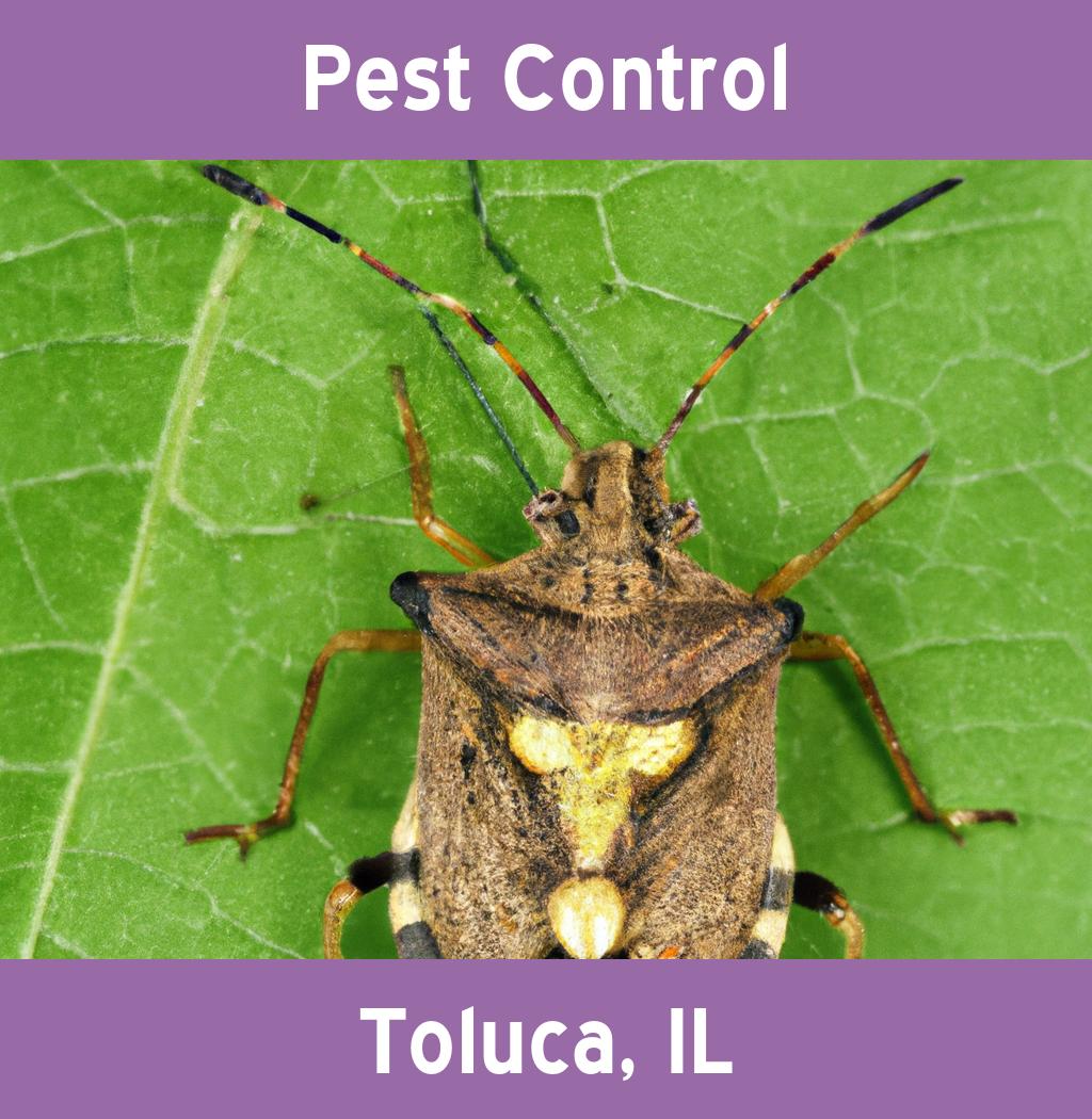 pest control in Toluca Illinois