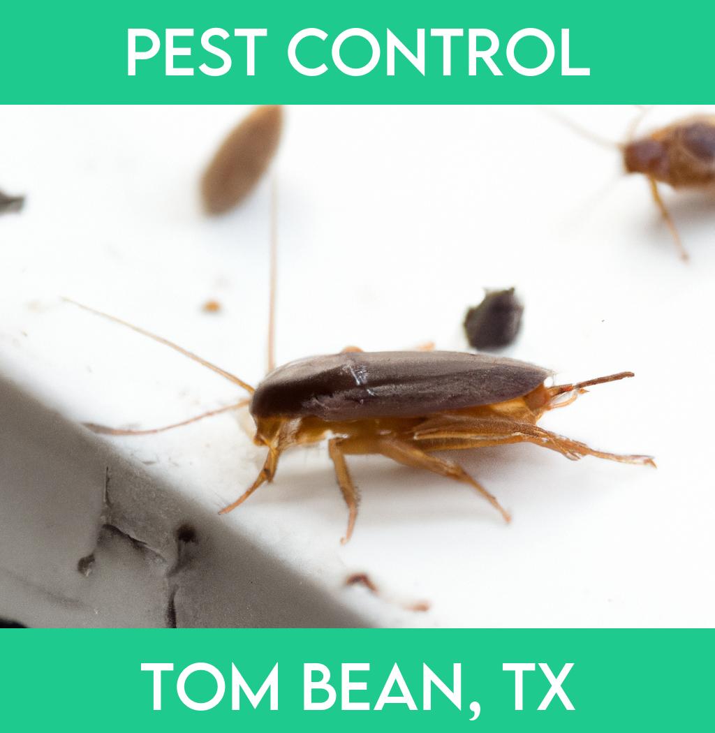 pest control in Tom Bean Texas