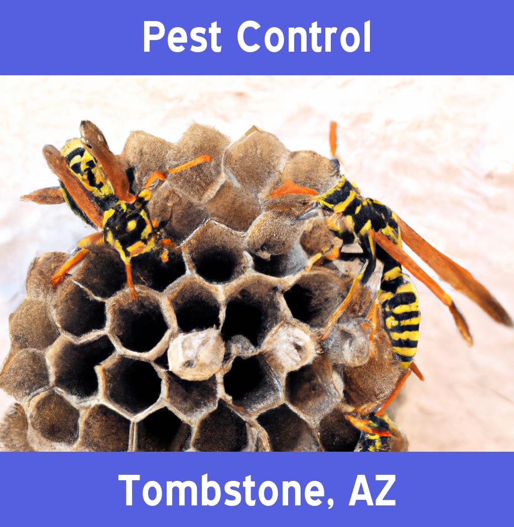 pest control in Tombstone Arizona