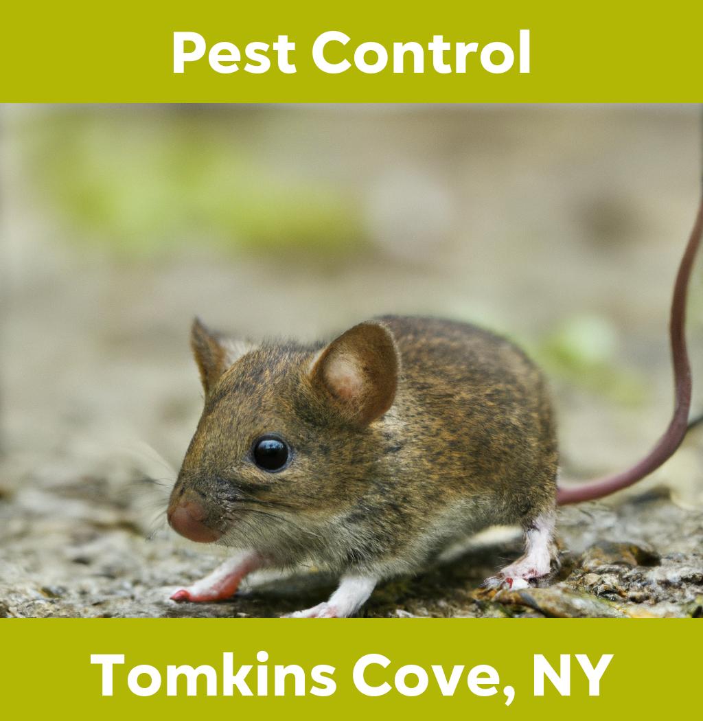 pest control in Tomkins Cove New York