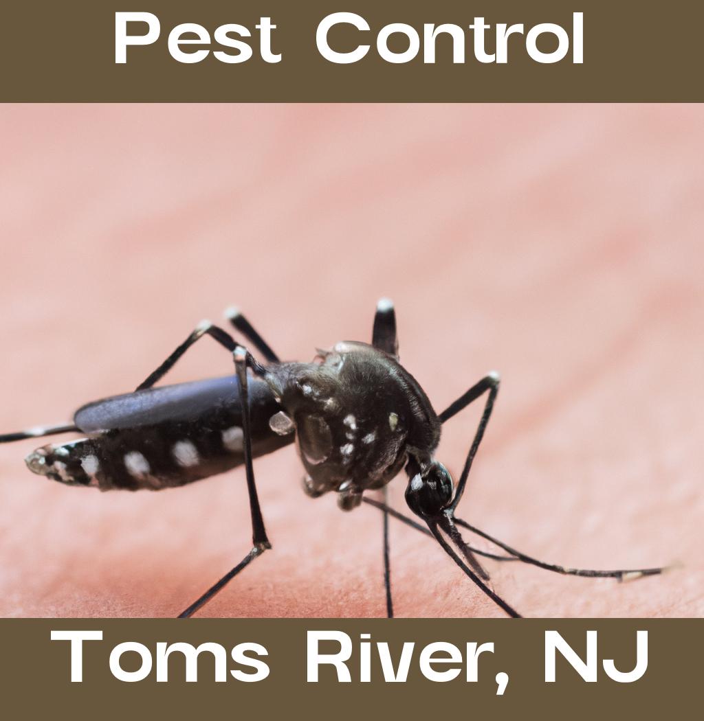 pest control in Toms River New Jersey