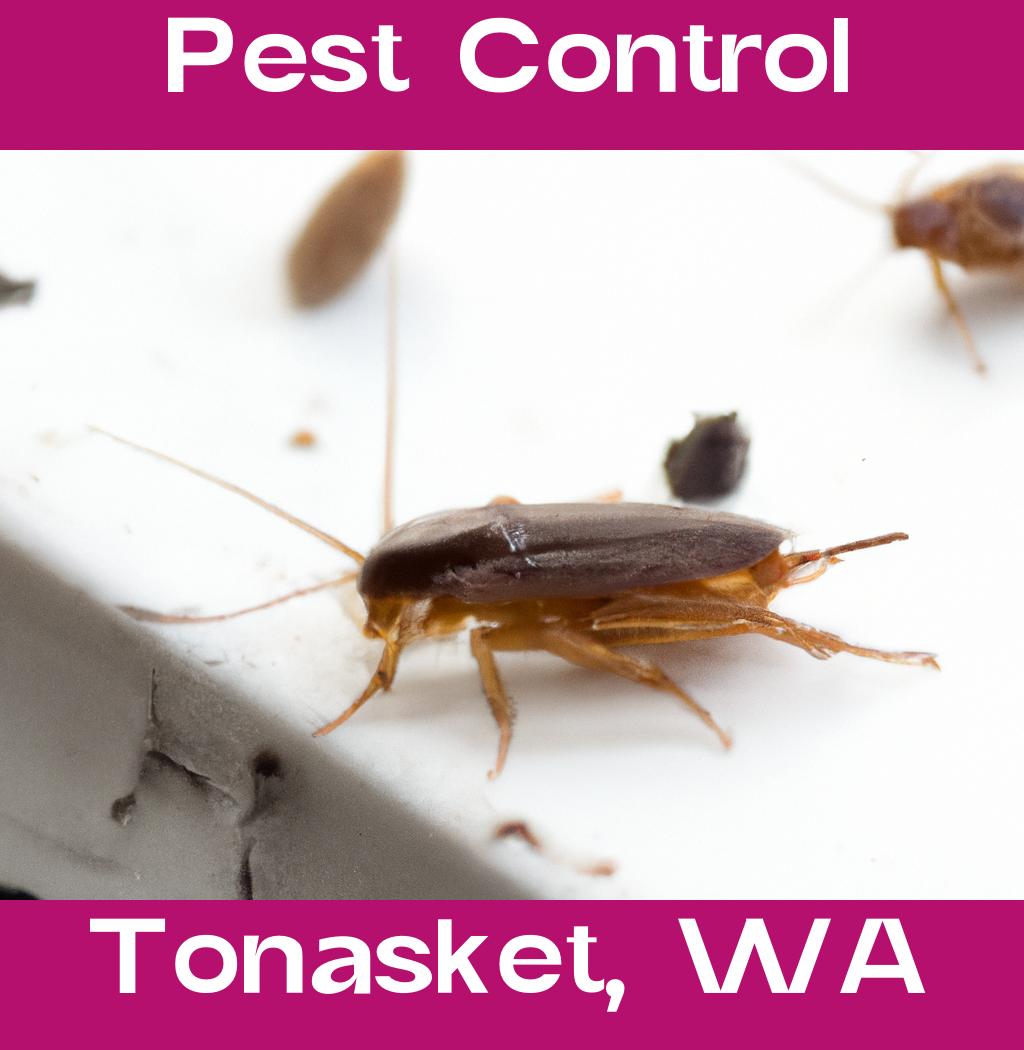 pest control in Tonasket Washington