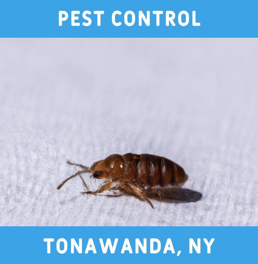 pest control in Tonawanda New York