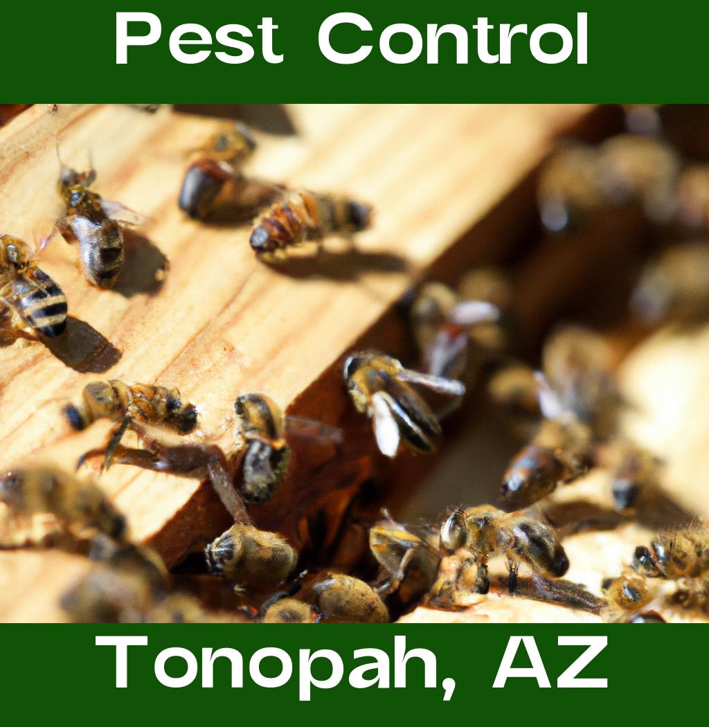 pest control in Tonopah Arizona