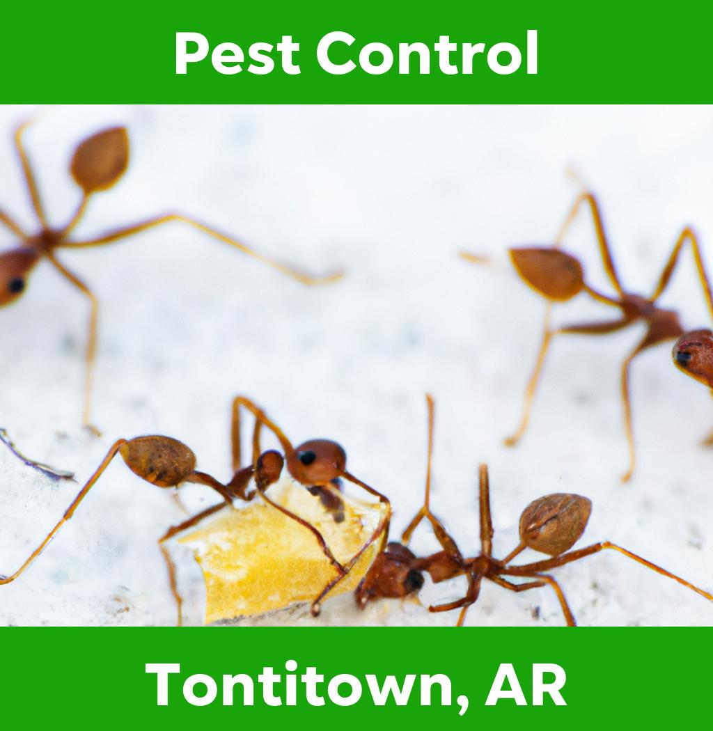 pest control in Tontitown Arkansas