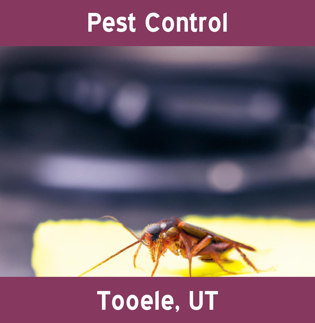 pest control in Tooele Utah
