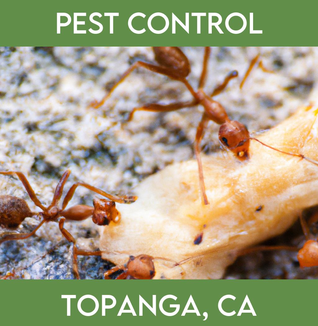 pest control in Topanga California