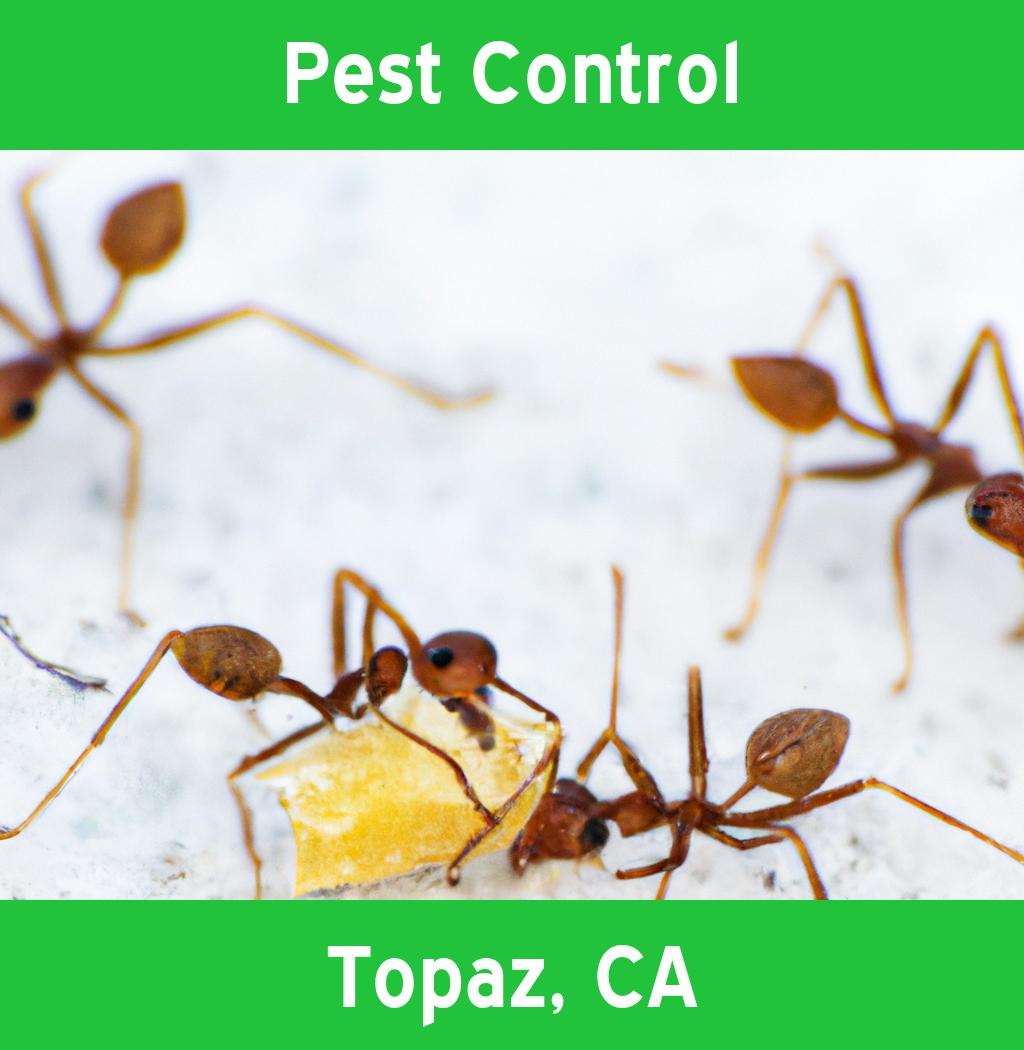 pest control in Topaz California