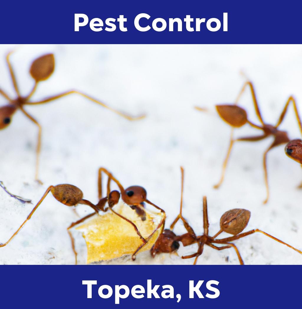 pest control in Topeka Kansas