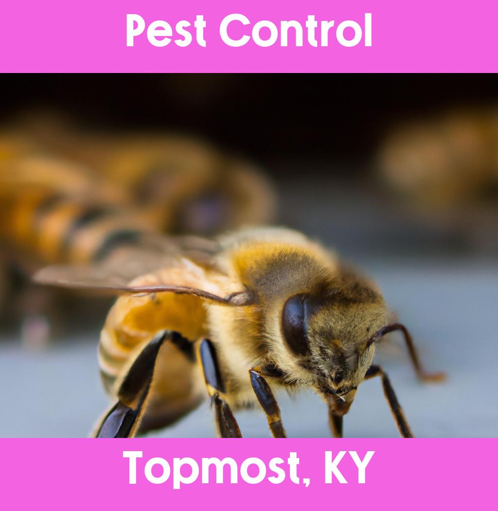 pest control in Topmost Kentucky