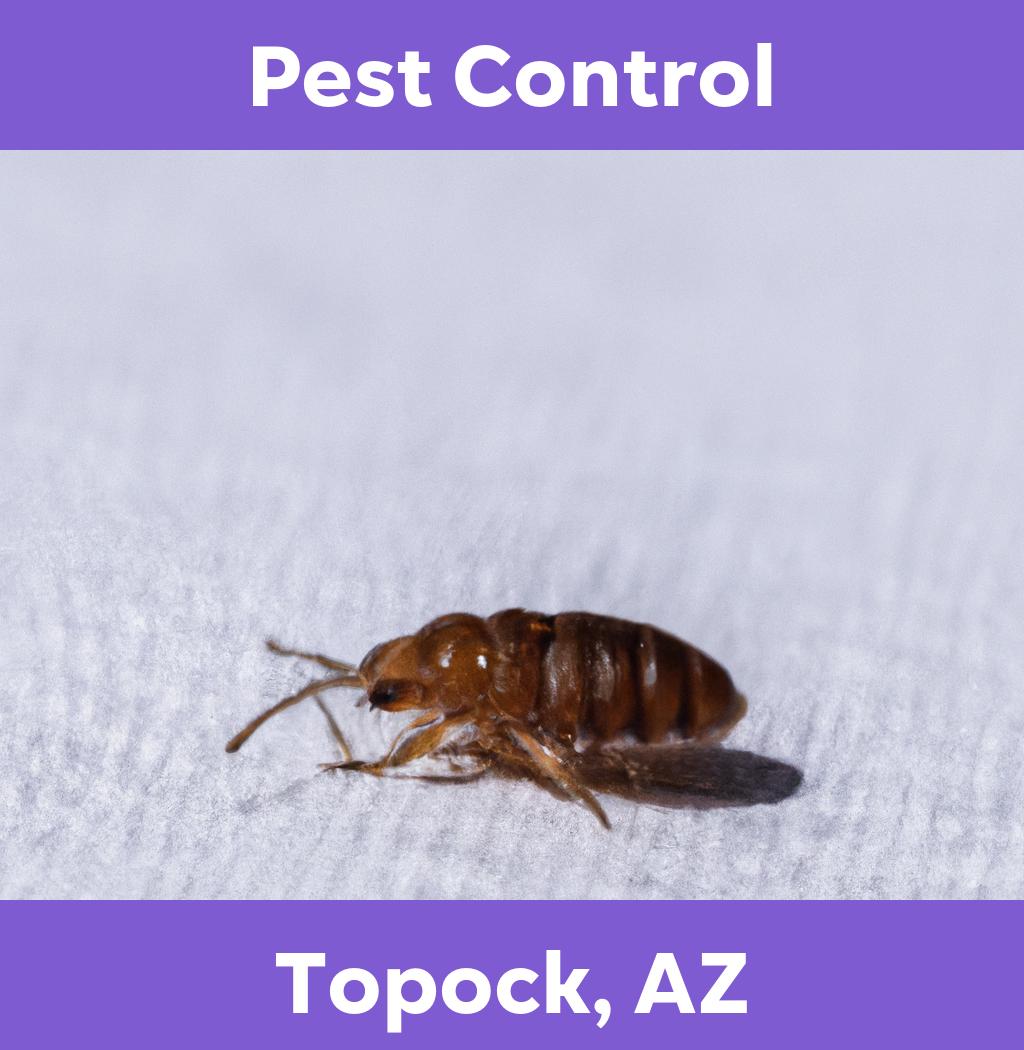 pest control in Topock Arizona