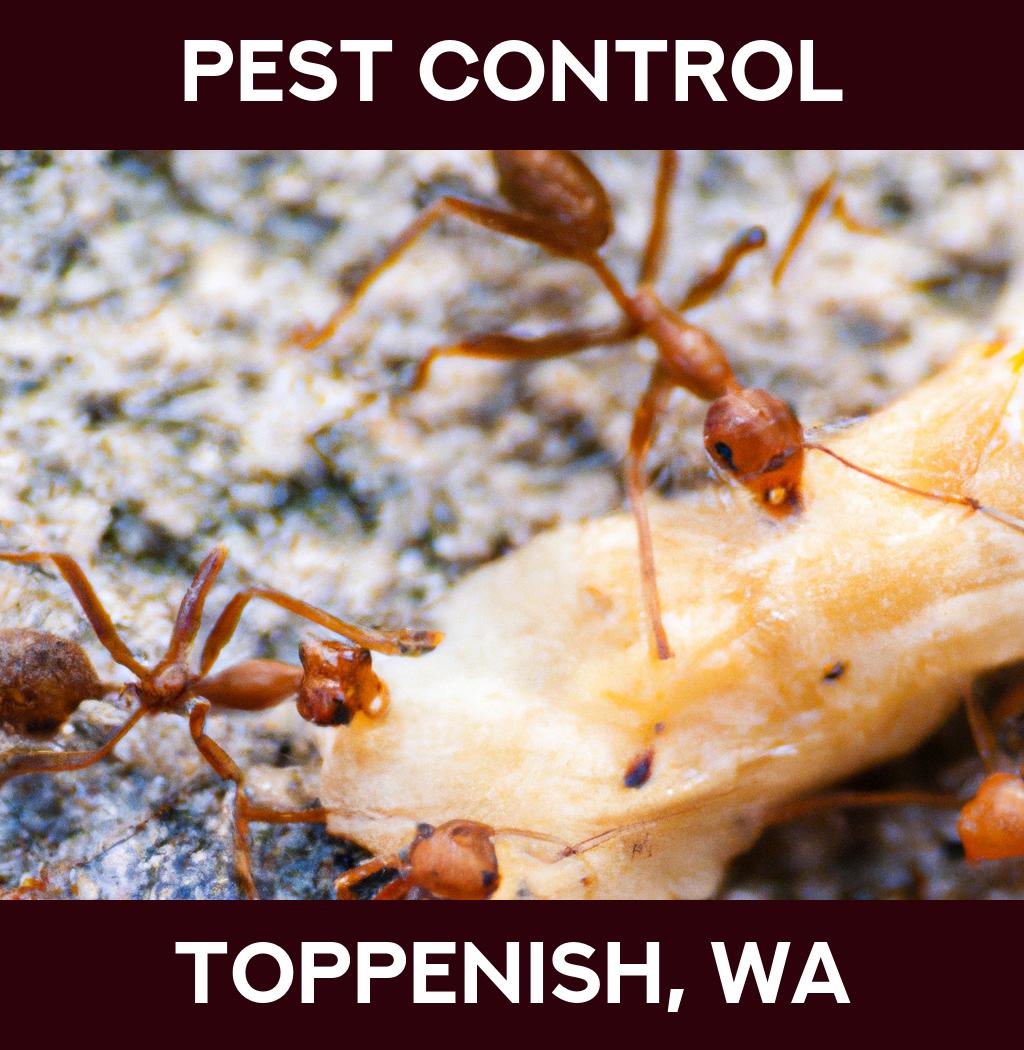 pest control in Toppenish Washington