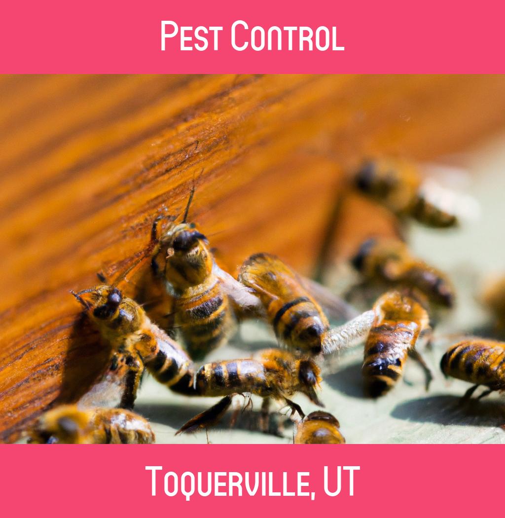pest control in Toquerville Utah