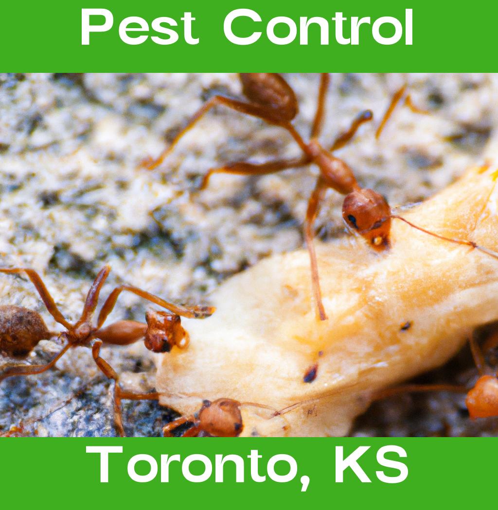 pest control in Toronto Kansas