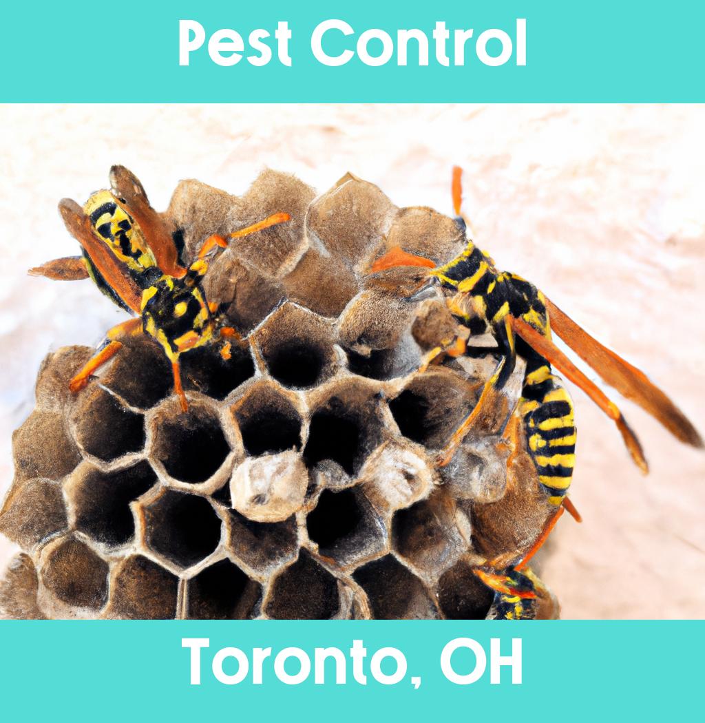 pest control in Toronto Ohio