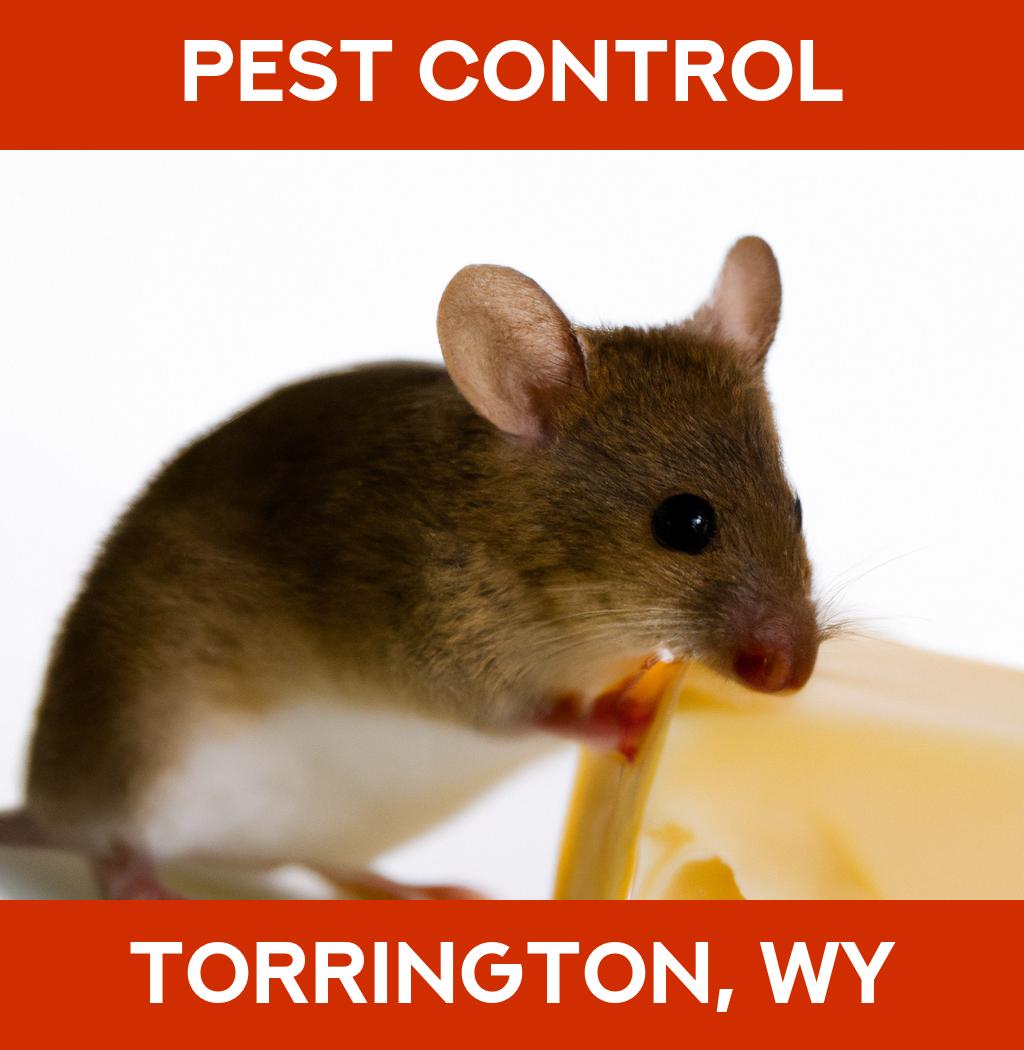 pest control in Torrington Wyoming